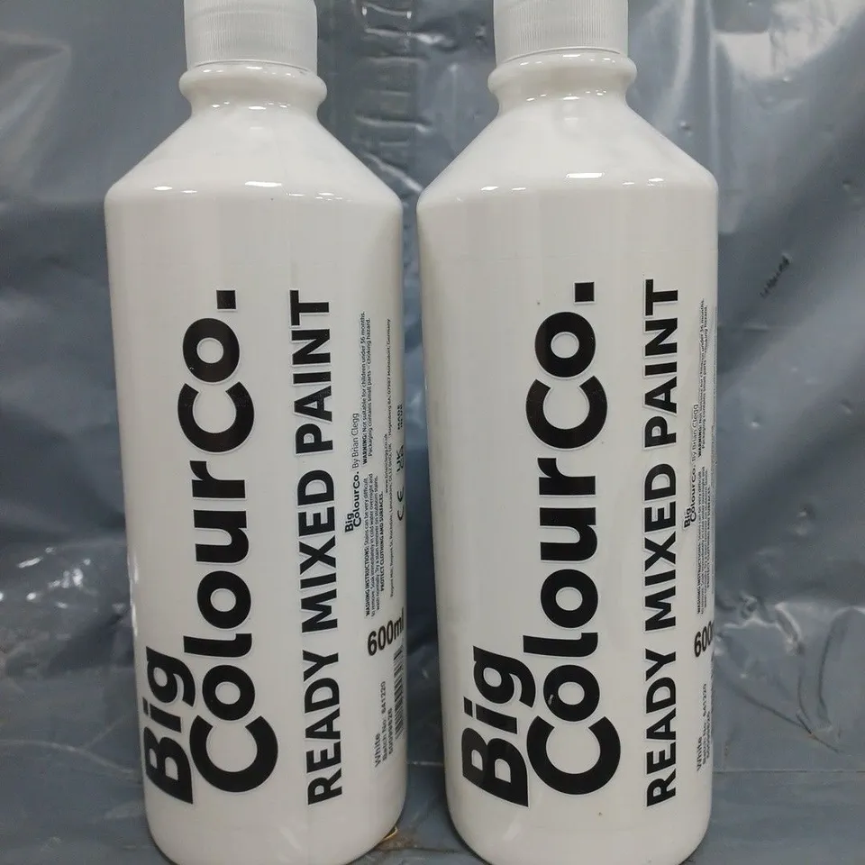 BIG COLOUR CO. READY MIXED PAINT IN WHITE (BOX OF 6 X 600ML BOTTLES) - COLLECTION ONLY