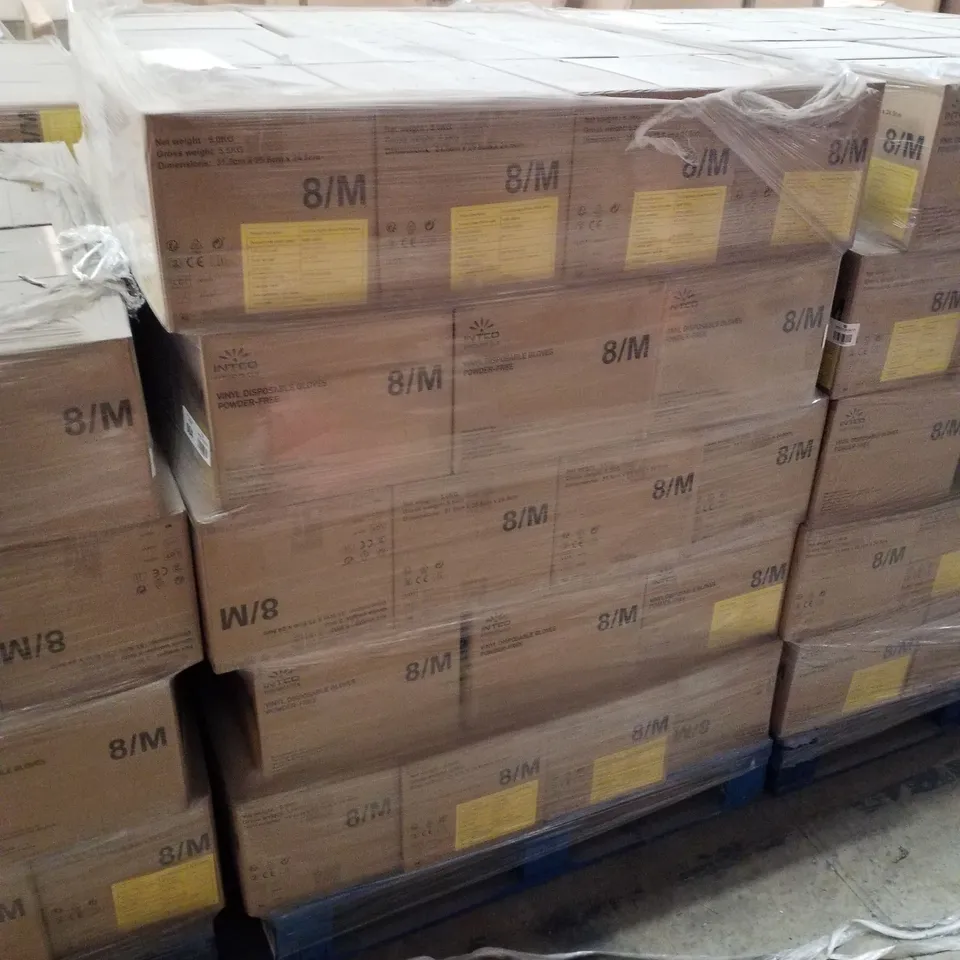 PALLET OF APPROXIMATELY 70 INTCO VINYL DISPOSABLE GLOVES 100PK BOXES - MEDIUM