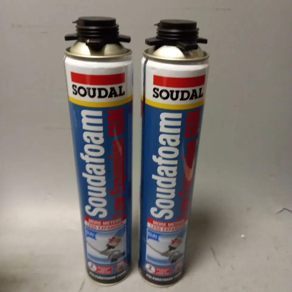 SOUDAL SOUDAFOAM LOW EXPANSION GUN X12