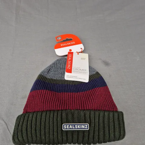 SEALSKINZ CROMER STRIPED BEANIE