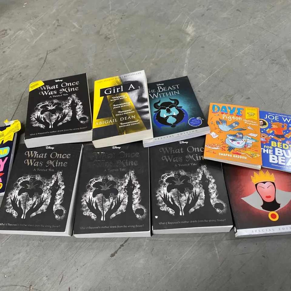 BOX OF APPROXIMATELY 10 ASSORTED BOOKS TO INCLUDE: BEING AN ALLY, GIRL A, THE BEAST WITHIN, WHAT ONCE WAS MINE, THE BURPEE BEARS