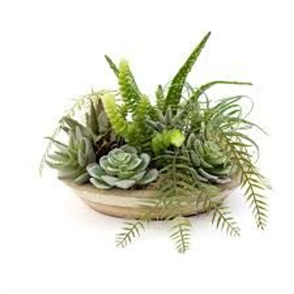 PEONY SUCCULENT & GREENERY IN TERRACOTTA DISH