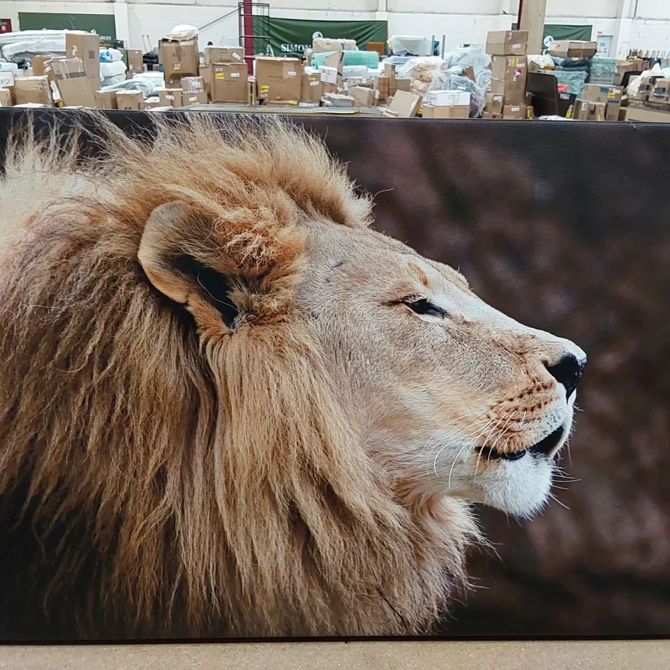 BAGGED WRAPPED CANVAS PRINT - LION HEAD (1 ITEM)