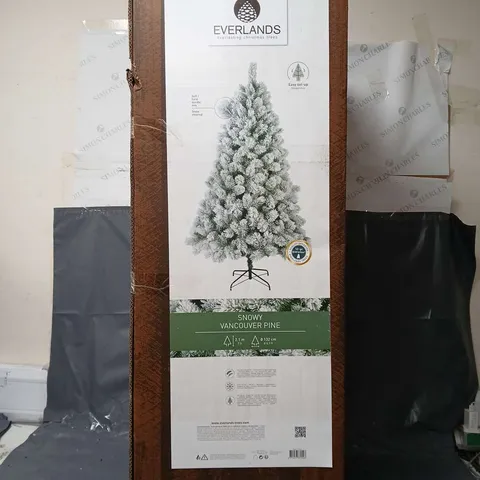 BOXED EVERLANDS SNOWY VANCOUVER PINE TREE - COLLECTION ONLY