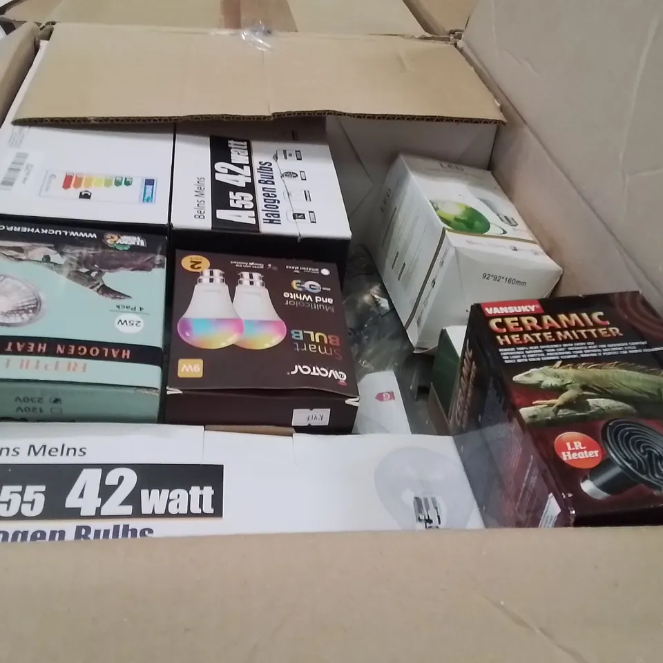 PALLET CONTAINING A LARGE QUANTITY OF BULBS 