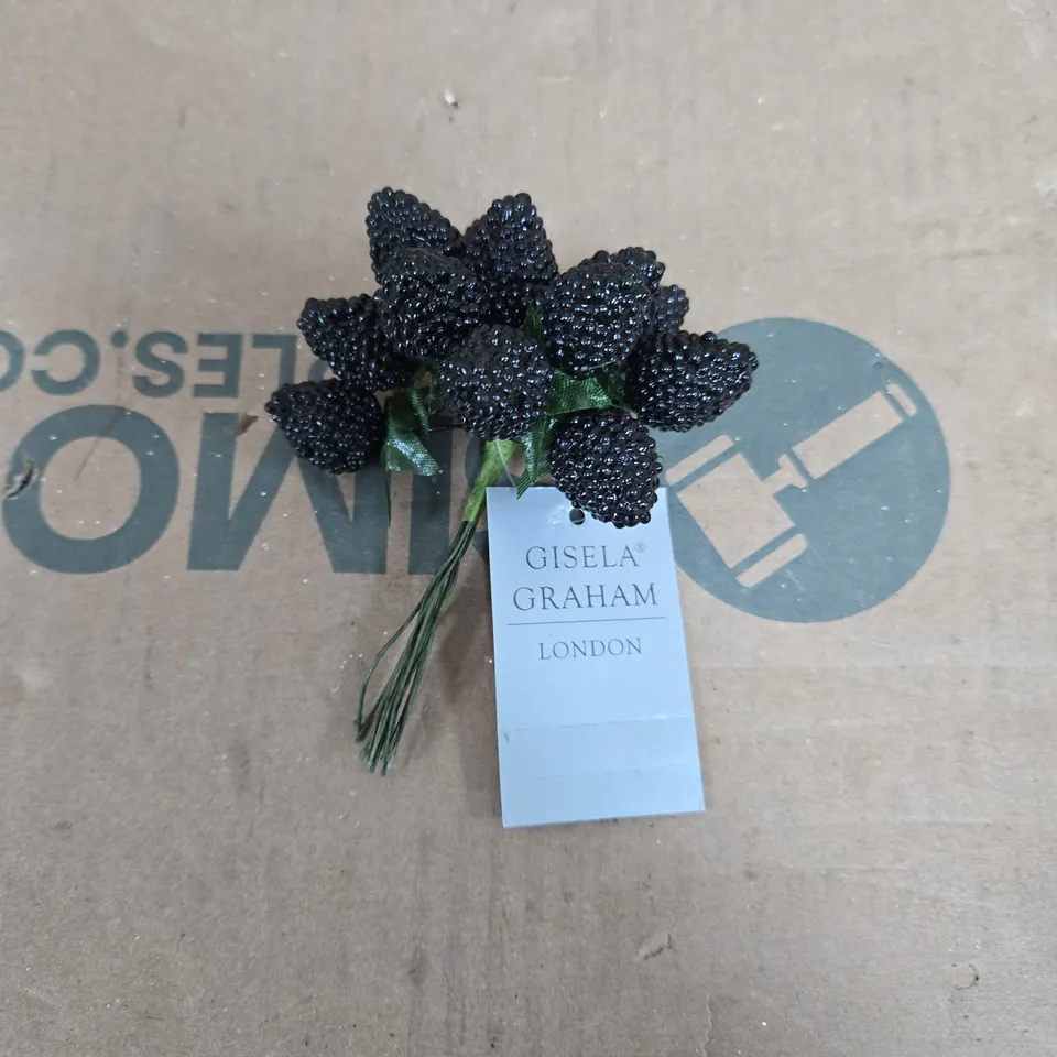 24 BUNCHES OF GISELA GRAHAM BLACKBERRY PICKS 