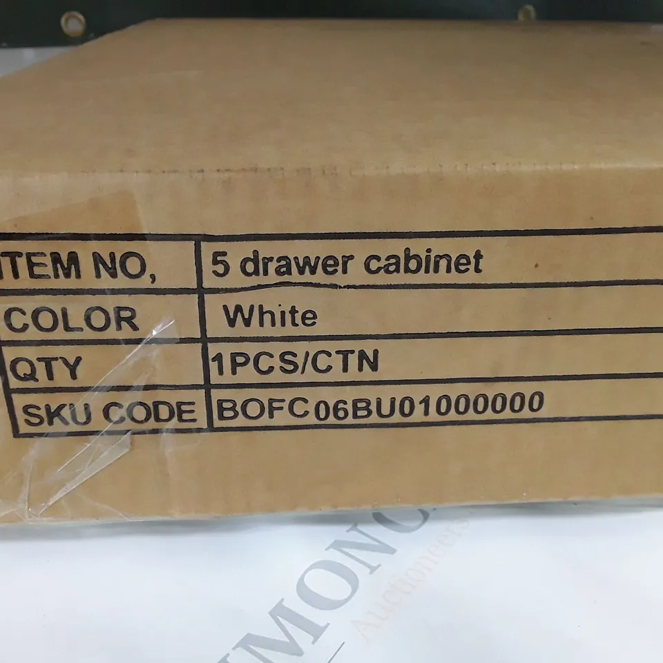 BOXED WHITE 5-DRAWER CABINET - 1PC/CTN