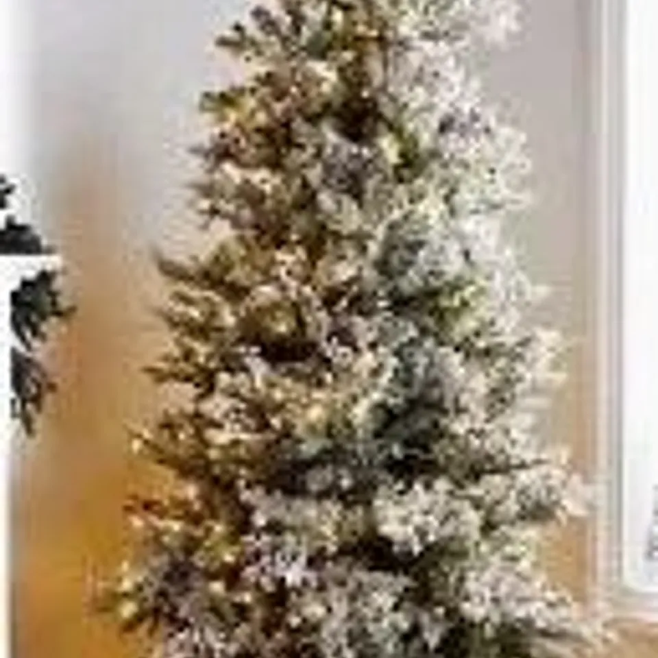 BOXED ALISON CORK SUGAR SPRUCE CHRISTMAS TREE - 6FT DUSTED - COLLECTION ONLY