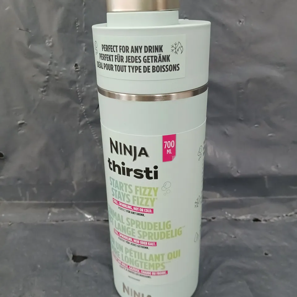 NINJA THIRSTI DRINKS CONTAINER IN MINT - 530ML	