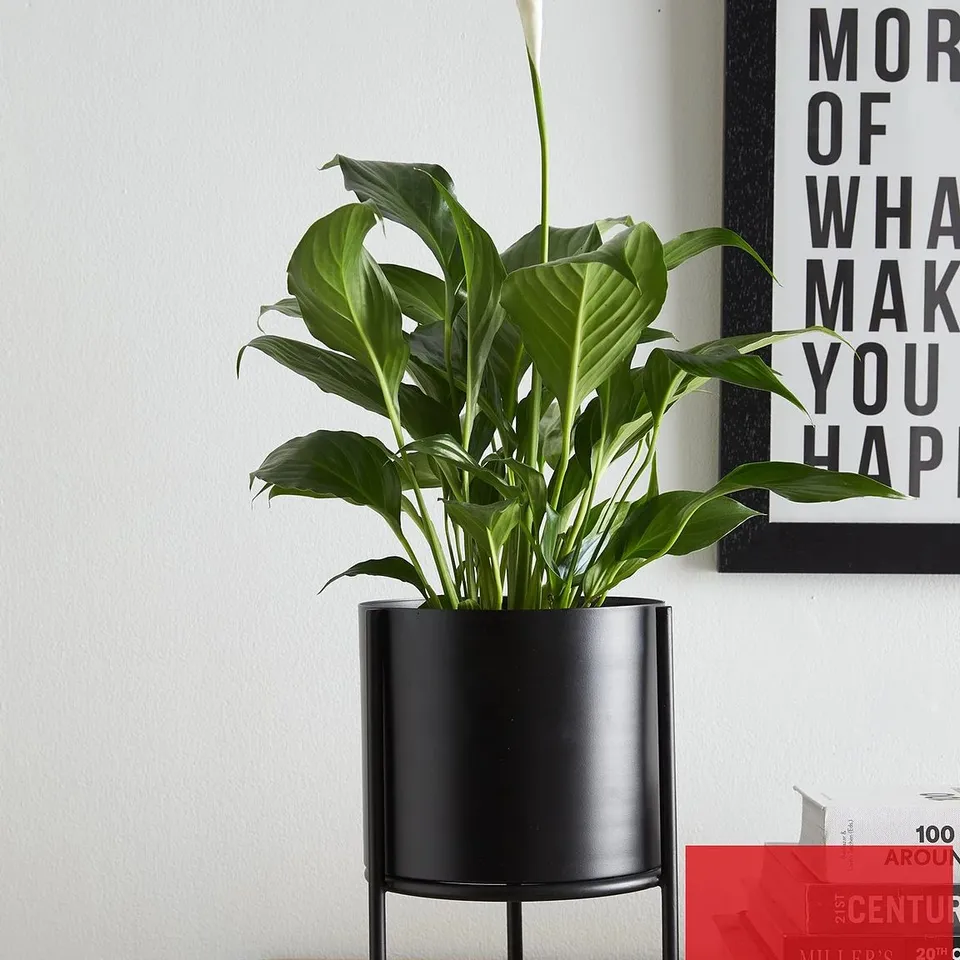 THE VERY COLLECTION STANDING METAL PLANTER - BLACK