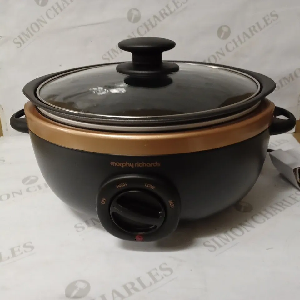 MORPHY RICHARDS SEAR AND STEW SLOW COOKER