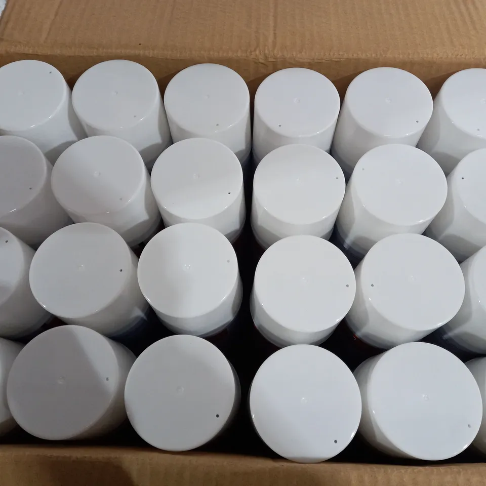 BOX OF 24 RAPIDE SPRAY & SEAL MASTIC SEALAND IN WHITE
