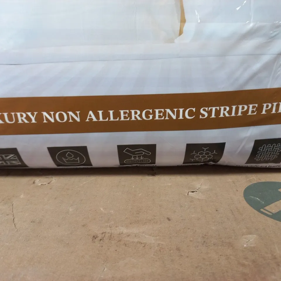 BHS LUXURY NON-ALLERGENIC STRIPE PILLOW PAIR