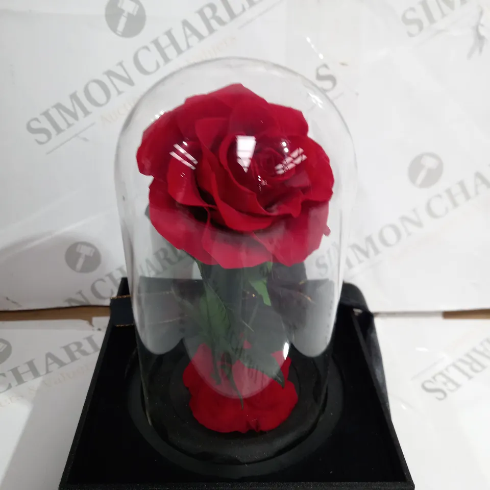 BOXED ROSE IN GLASS 