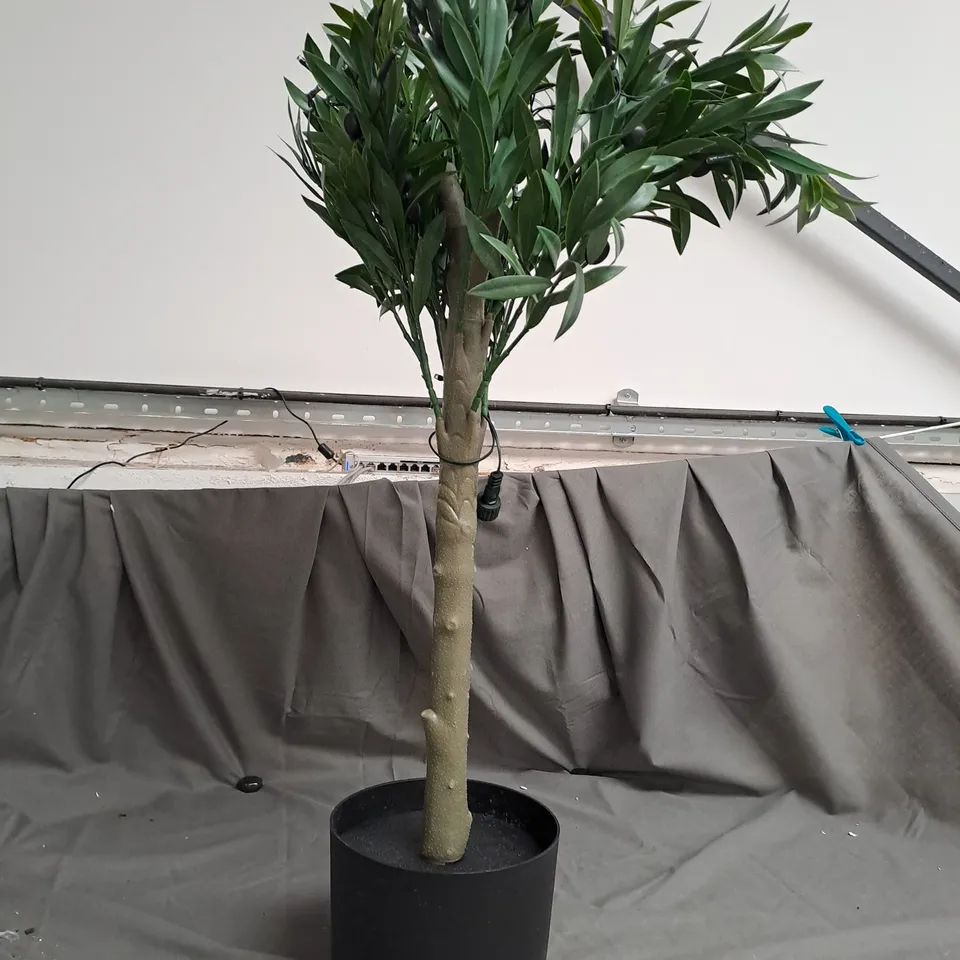 BOXED MY GARDEN STORIES BUSHY LED OLIVE TREE