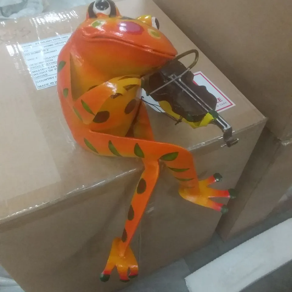 BRAND NEW BOXED FROG PLAYING VIOLIN