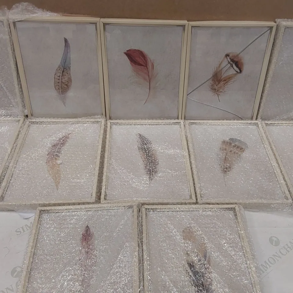 BOXED SET OF 12 FRAMED FEATHER PRINTS