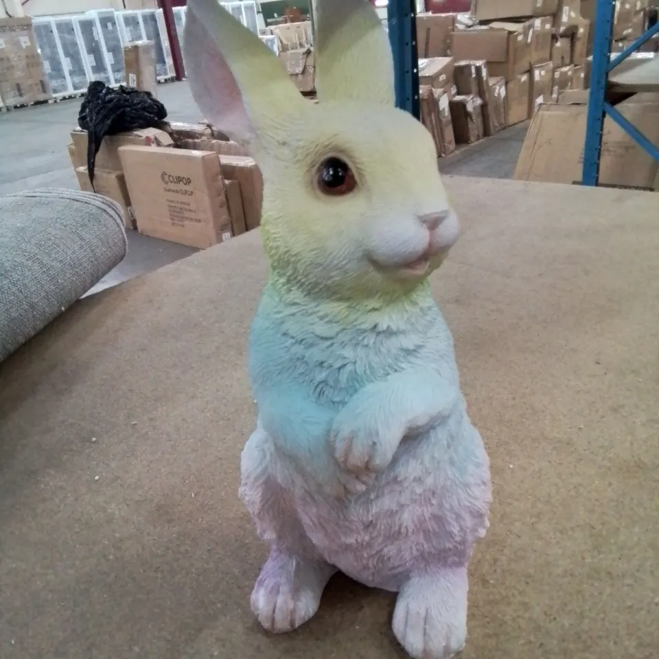 BOXED GARDEN RAINBOW BUNNY