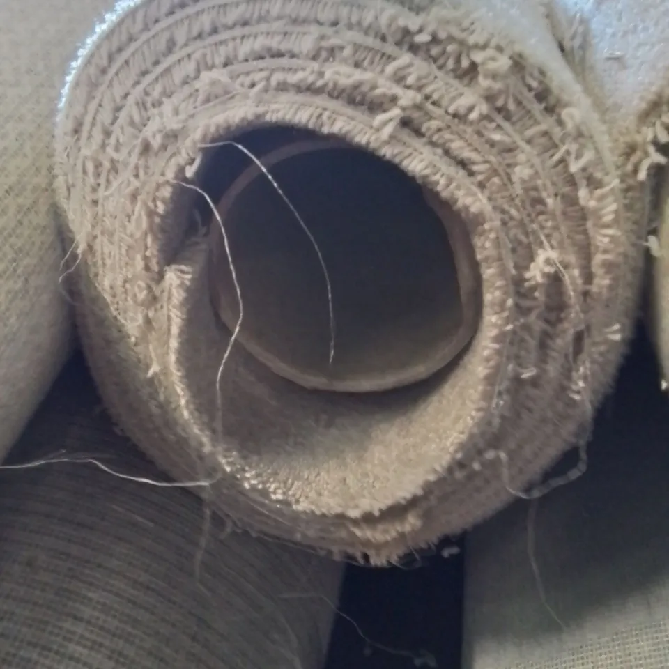 ROLL OF QUALITY DIMENSIONS5023 CARPET// APPROX SIZE: 5 X3.57
