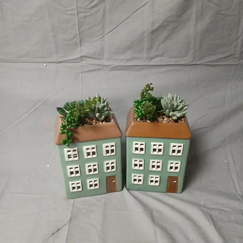GARDEN REFLECTIONS SET OF 2 PRE-LIT HOUSES WITH FAUX SUCCULENTS