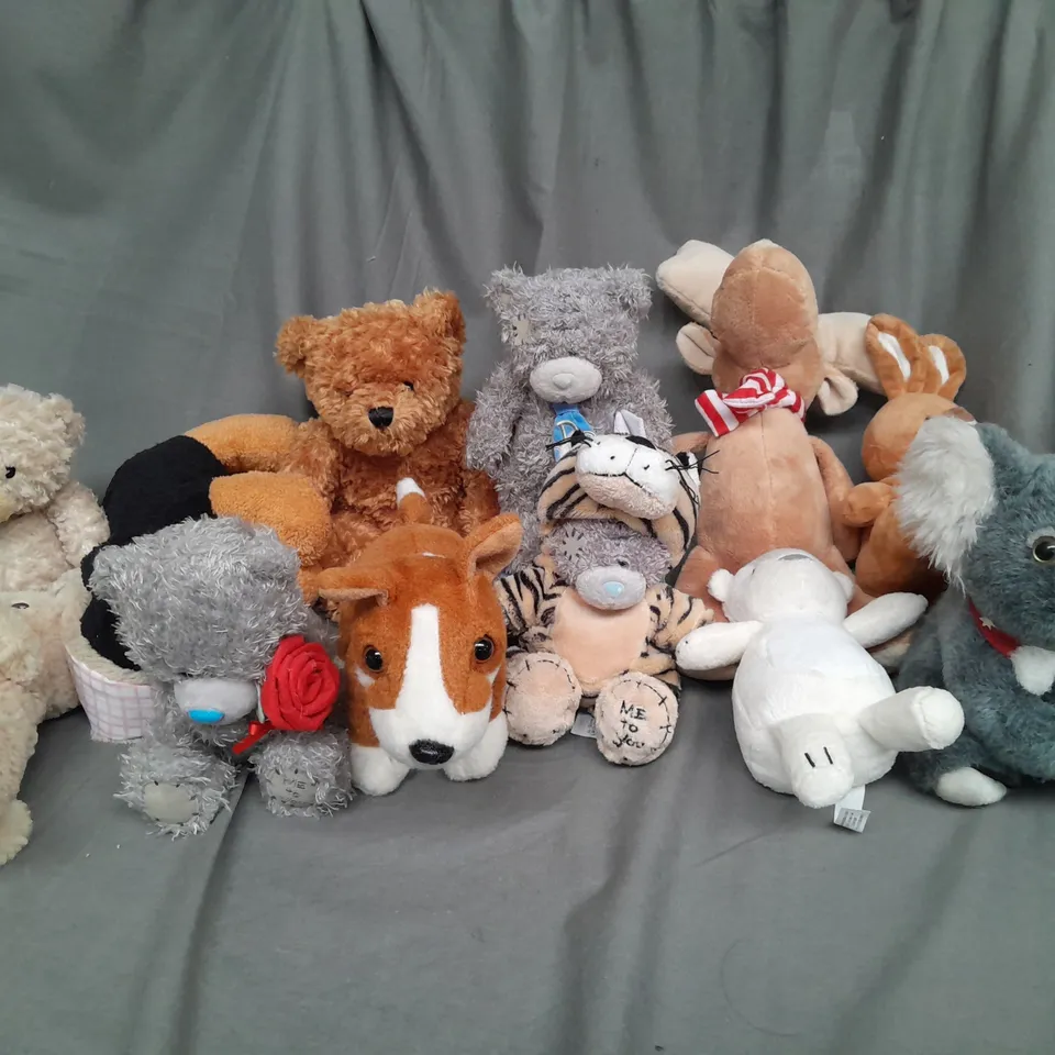 BOX OF ASSORTED PLUSH SOFT TEDDIES