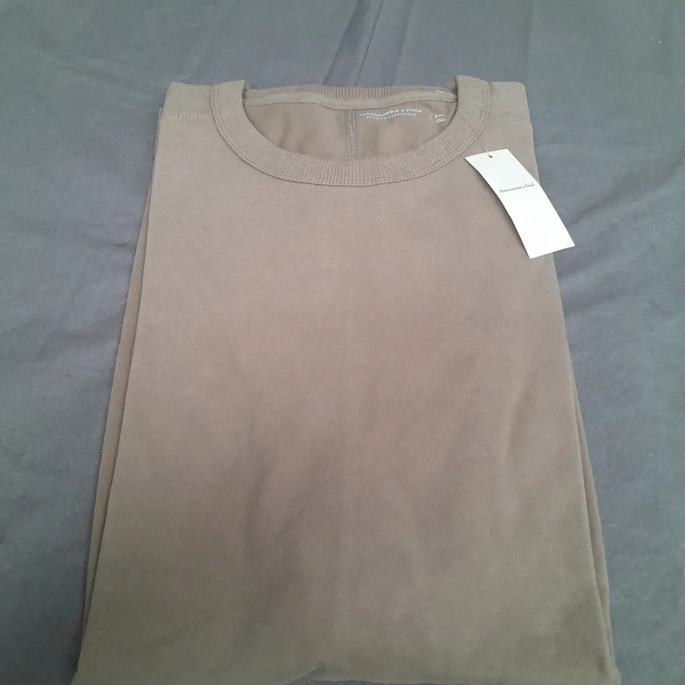 ABERCROMBIE & FITCH PREMIUM ESSENTAILS T-SHIRT IN WET SAND - XXL