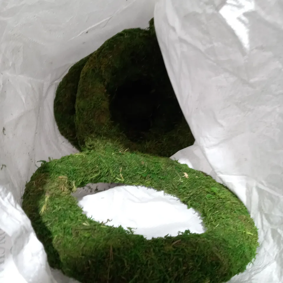 DÉCOR MOSS RINGS 