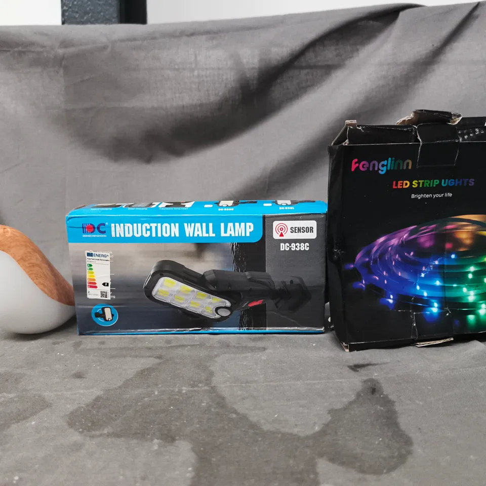 APPROXIMATELY 10 ASSORTED HOUSEHOLD ITEMS TO INCLUDE INDUCTION WALL LAMP, LEP STRIP LIGHTS, ETC