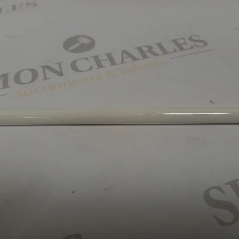 APPLE PENCIL (1ST GENERATION)