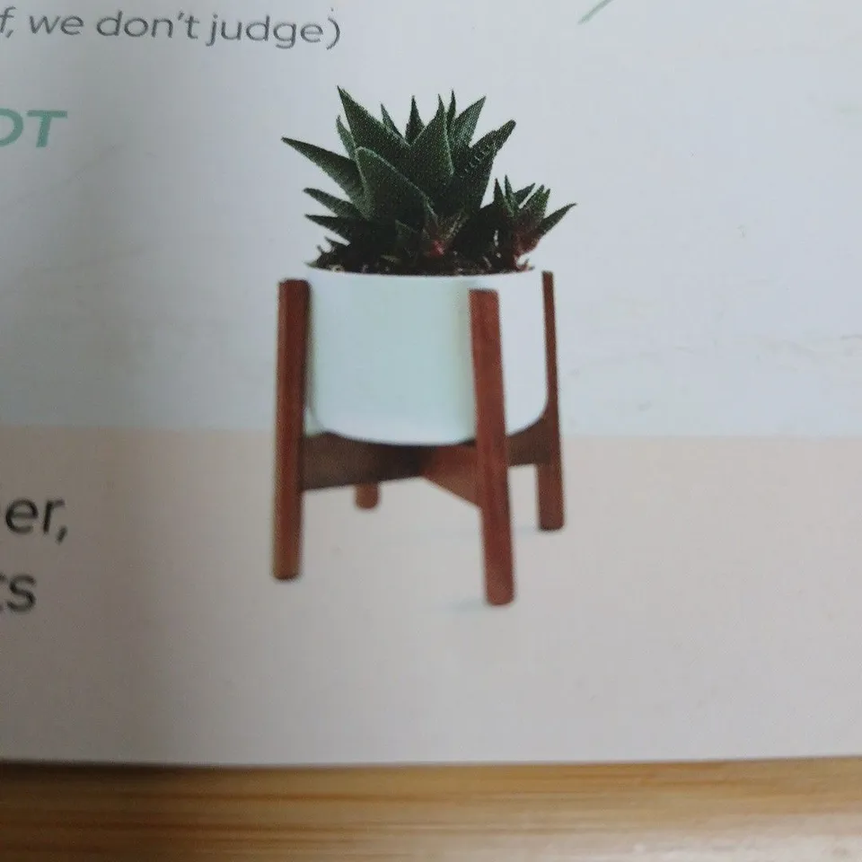 FOX & FERN PLANT STAND – WOODEN LEGGED INDOOR FURNITURE