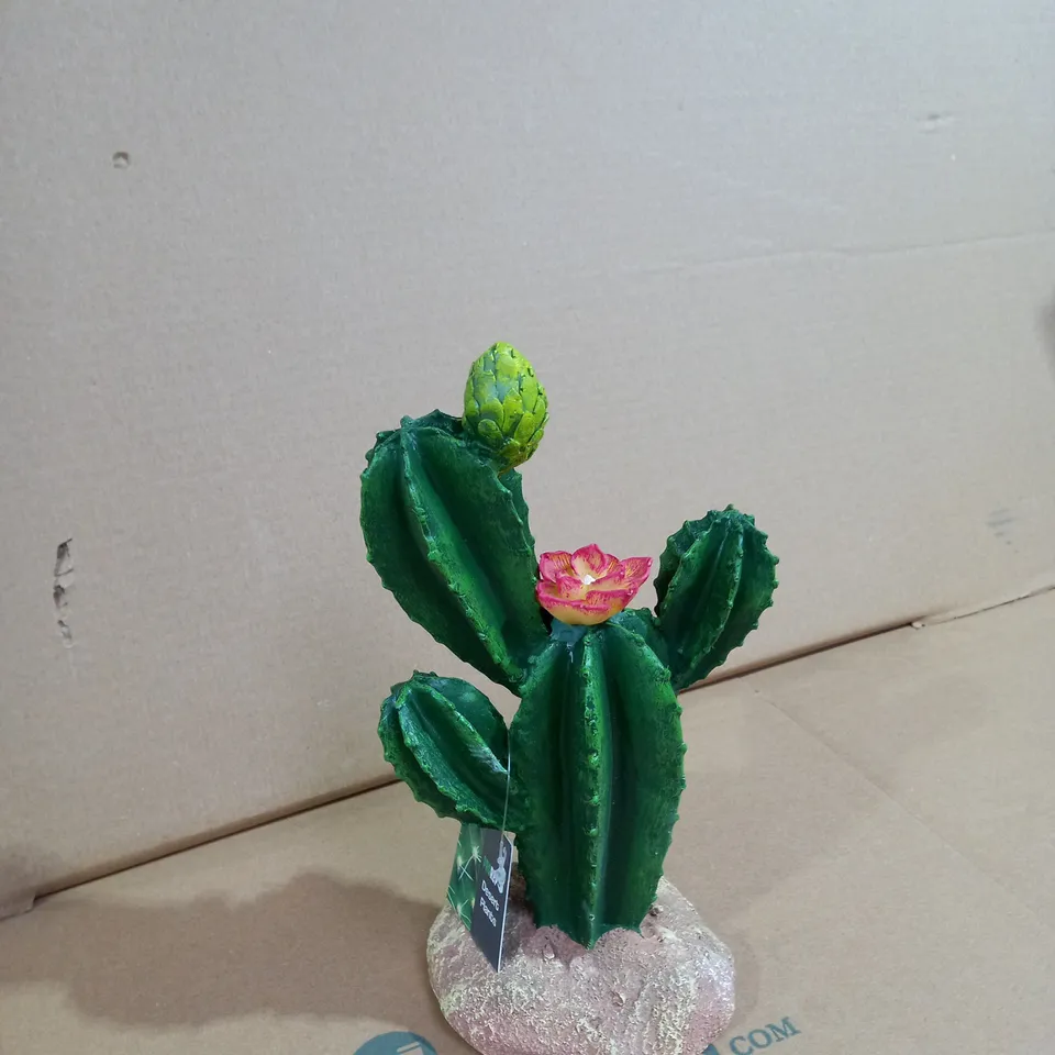 PROREP CACTUS DESIGNED  DESSERT PLANT 