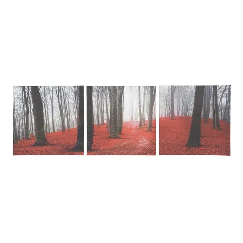 BOXED DAWN FOREST 3 PIECE PHOTOGRAPHIC SET ON CANVAS