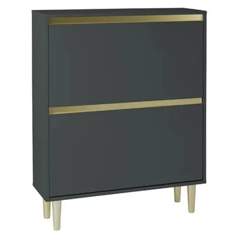 BOXED LLIANA 2 DOOR SHOE CABINET 