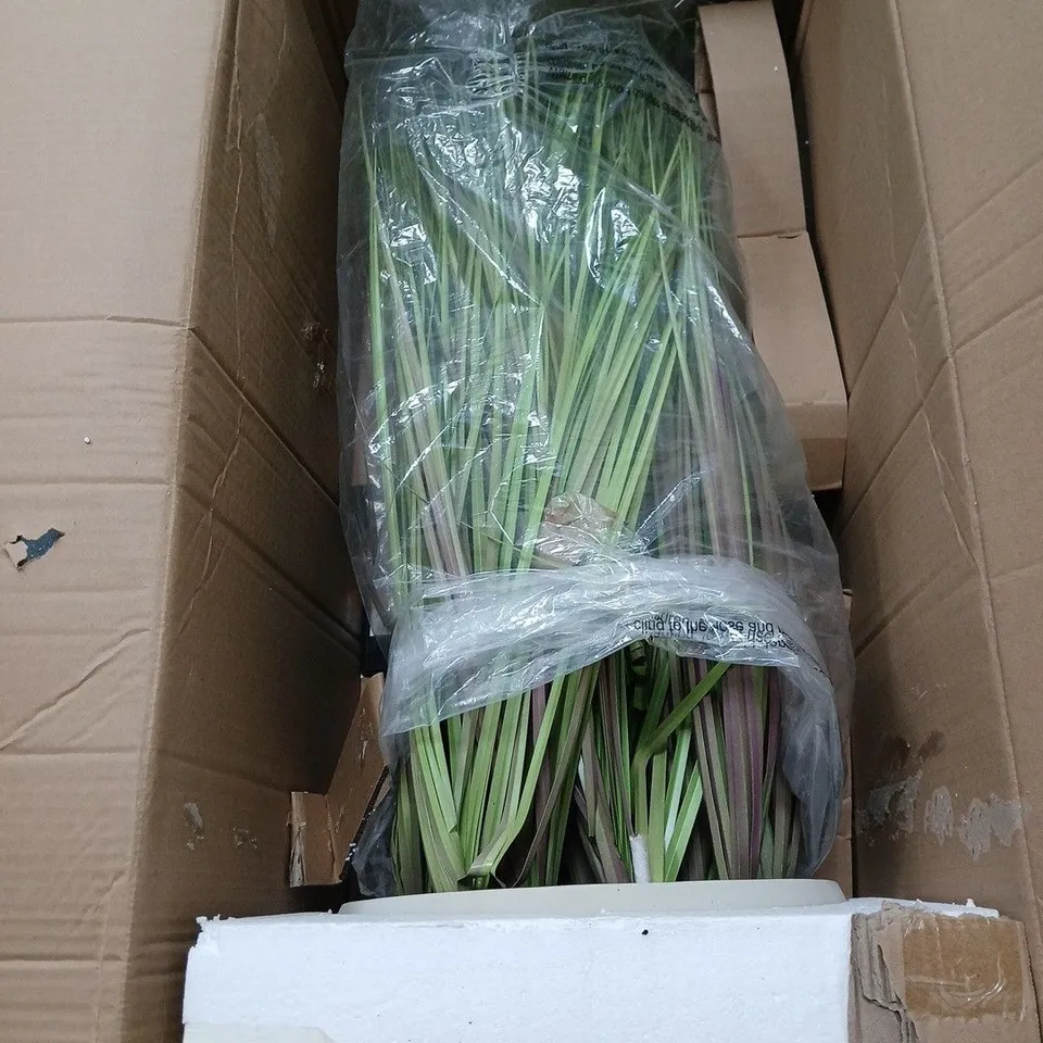 K BY KELLY HOPPEN INDOOR OUTDOOR PRE-LIT LOMANDRA GRASS W/CEMENT POT