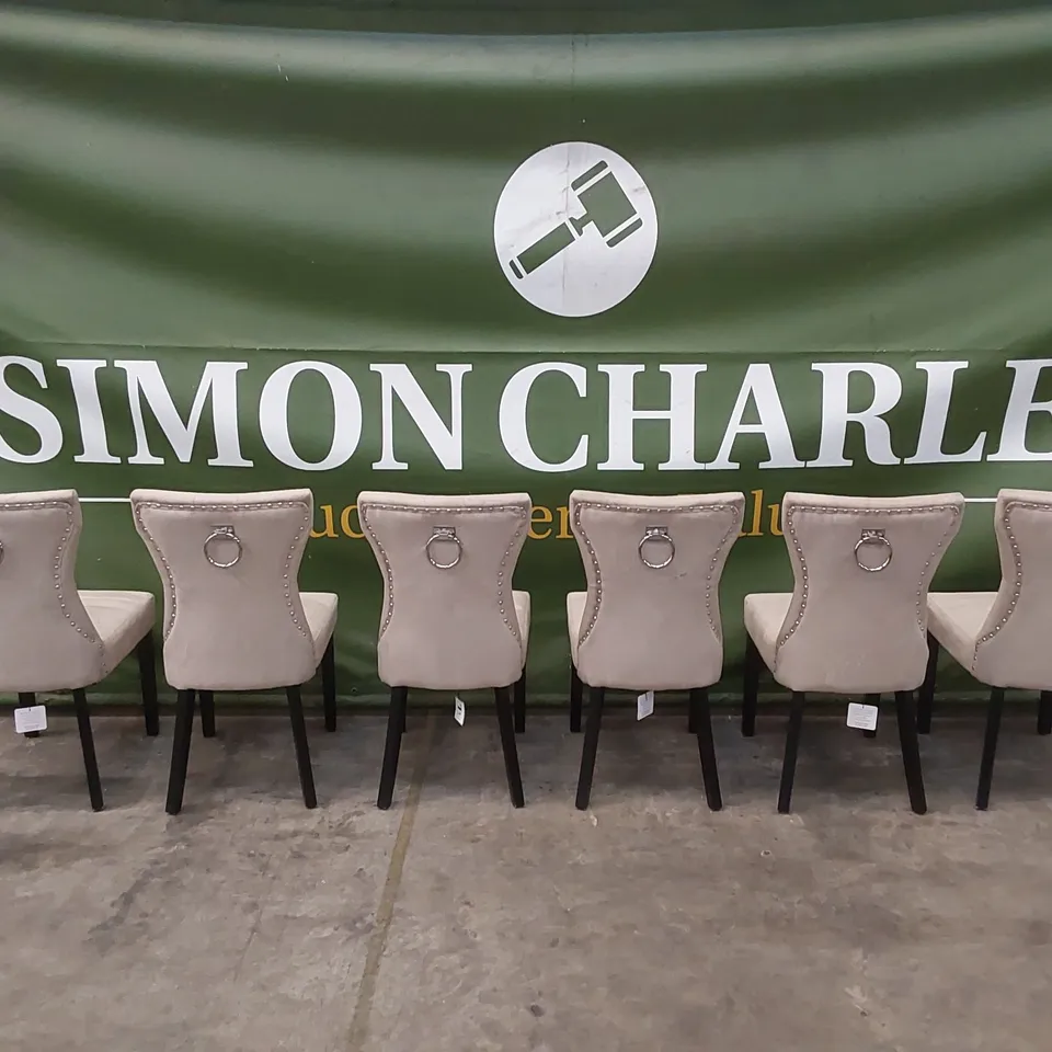 SET OF 6 DESIGNER MINK VELVET DINING CHAIRS WITH BLACK LEGS