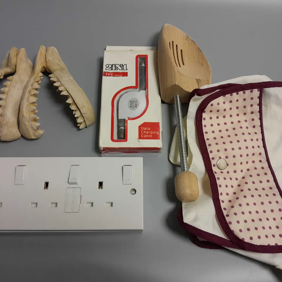 LOT OF 5 ASSORTED ITEMS TO INCLUDE PLUG SOCKET, DATA CHARGING CABLE AND SHOE HORN