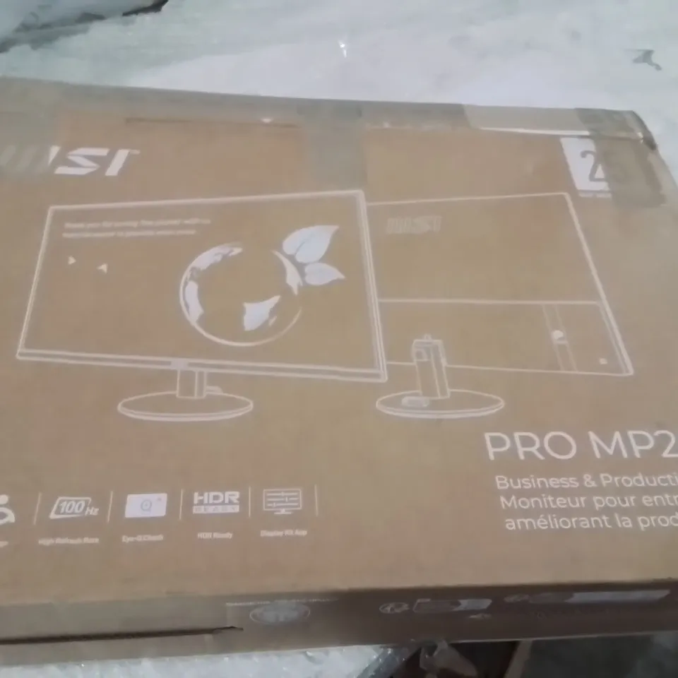 MSI PRO MP252L MONITOR 