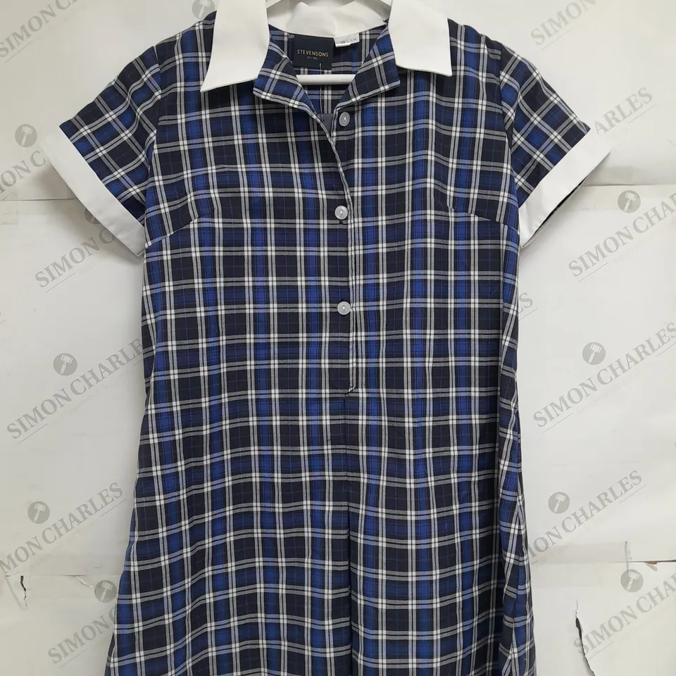STEVENSONS KINGSLEY PREP SUMMER DRESS SIZE 32 