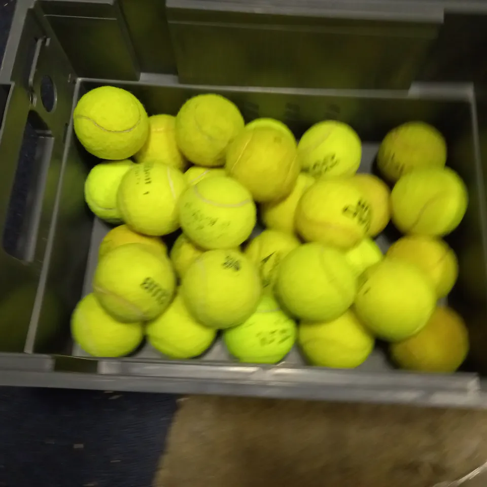 LOT OF ASSORTED HOUSEHOLD ITEMS TO INCLUDE MOP HEADS, DISPLAY FOLDERS AND TENNIS BALLS