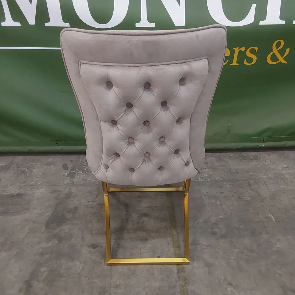 DESIGNER SOFT VELVET UPHOLSTERED DINING CHAIR WITH GOLD LEGS 