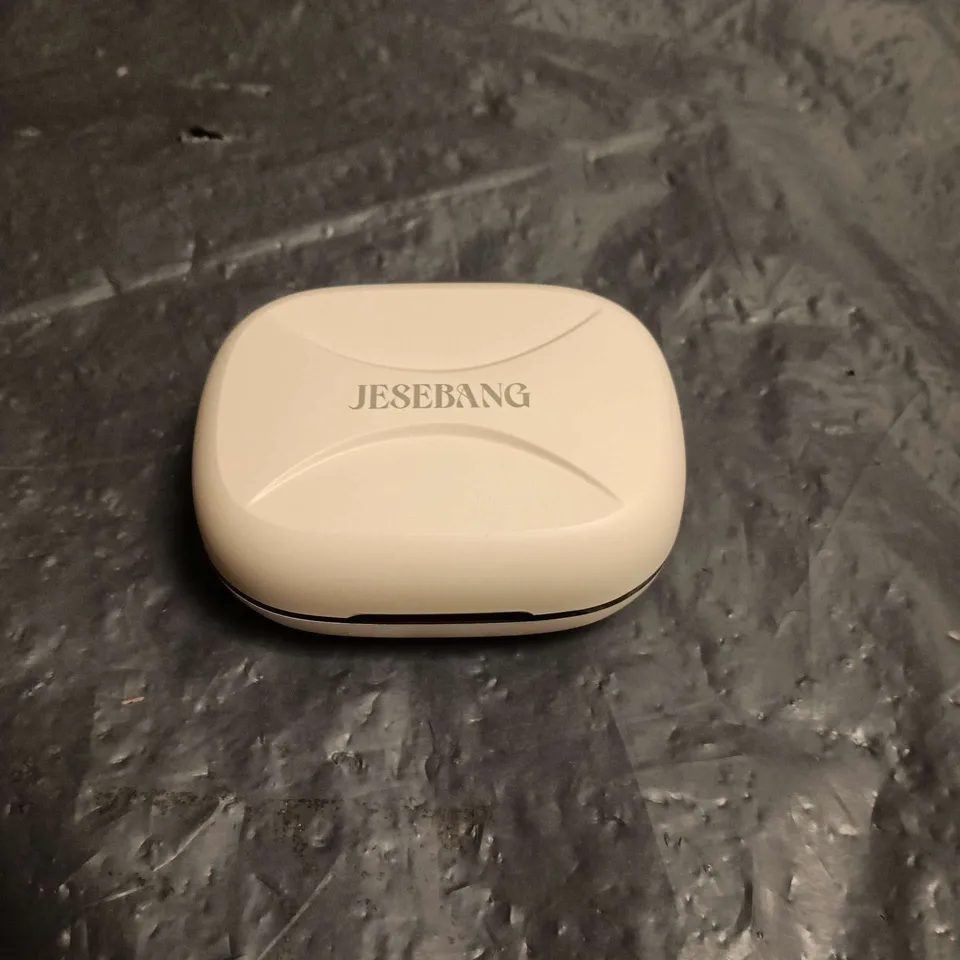 JESEBANG EARPHONES IN CHARGING CASE. UNBOXED