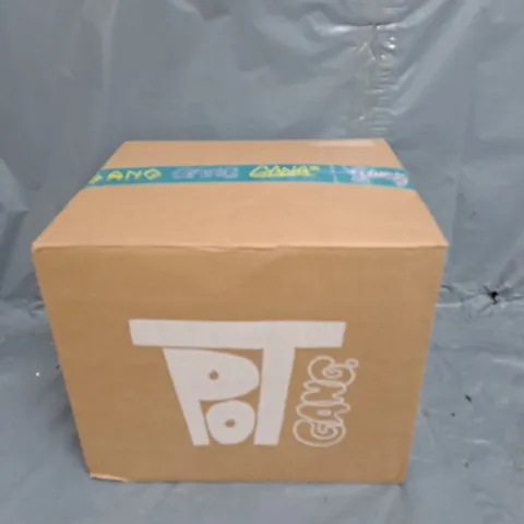 BOXED POT GANG JUNE GARDENING GROWING KIT 