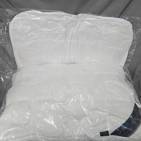 PAIR OF HOTEL QUALITY PILLOWS IN WHITE