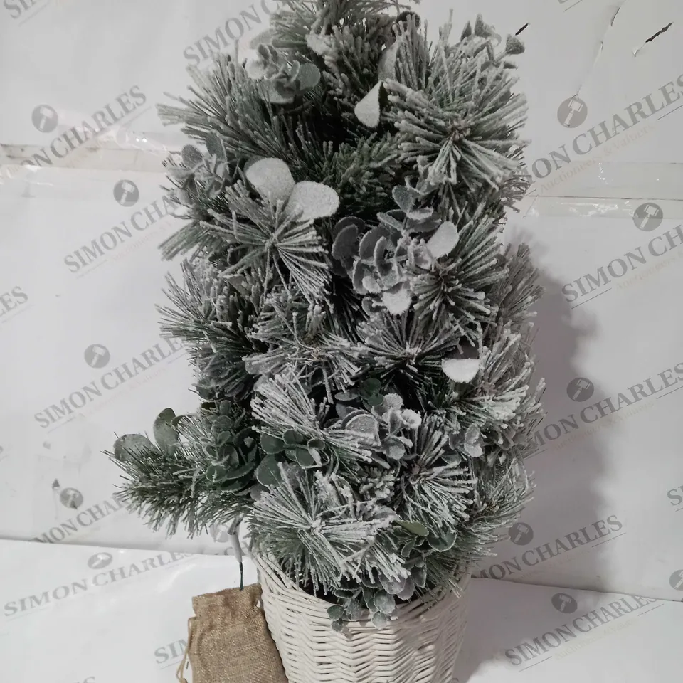 K BY KELLY HOPPEN COTSWOLDS CHOICE OF PRE-LIT GREENERY CHRISTMAS DECORATION