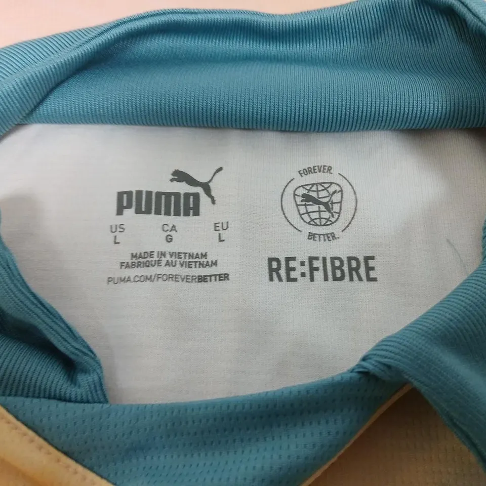 MANCHESTER CITY FC 2024/25 AWAY JERSEY – PUMA – ETIHAD AIRWAYS SPONSOR – UK L (US L / EU L) (VERIFY MODEL)