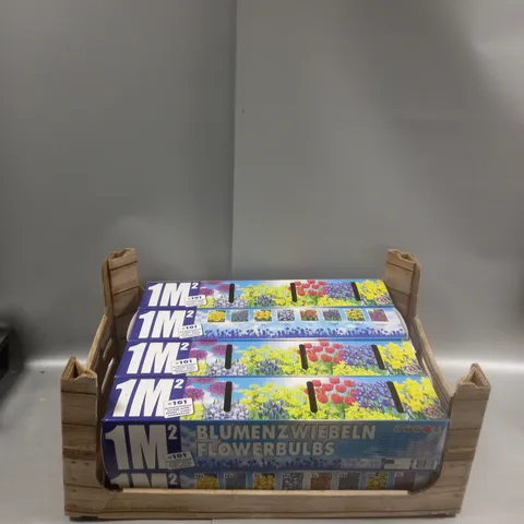 CRATE OF 8 101-BULB PACKS OF FLOWERS TO INCLUDE CROCUS, MUSCARI AND IRIS