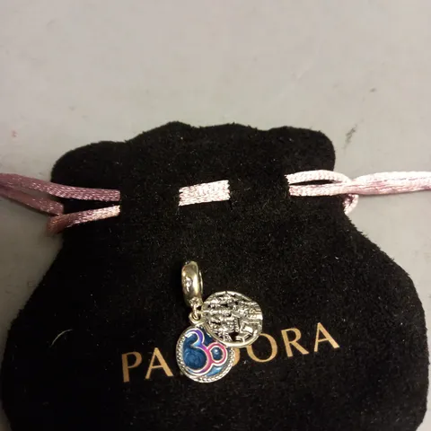PANDORA DISNEYLAND PARIS CHARM S925