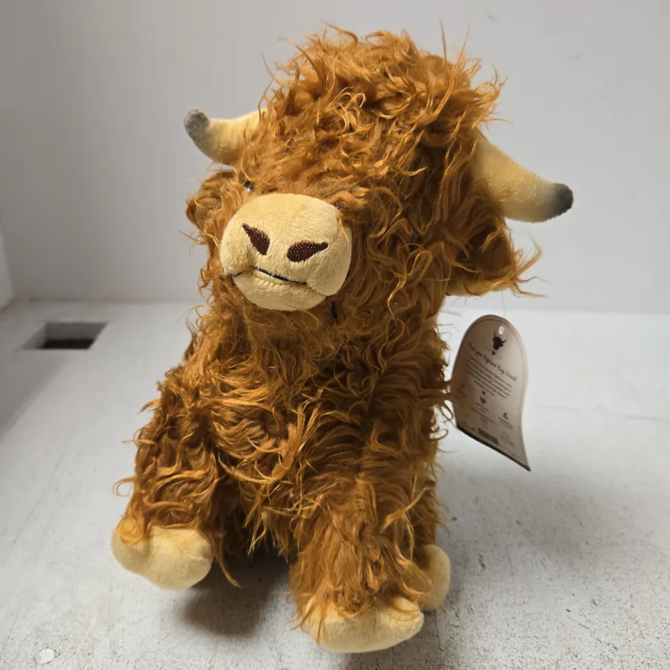 HIGHLAND HUGS PLUSH TOY BY COTTON KING