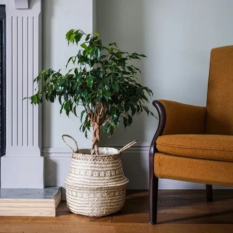 BOXED LATRELL INDOOR SEAGRASS TRIBAL WHITE LINED BASKET PLANTER