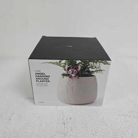 4 BOXED TYPO ANGEL HANGING AROUND PLANTERS